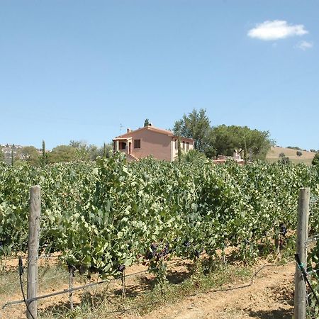 Agriturismo Pian Dei Pini Montiano  Ngoại thất bức ảnh