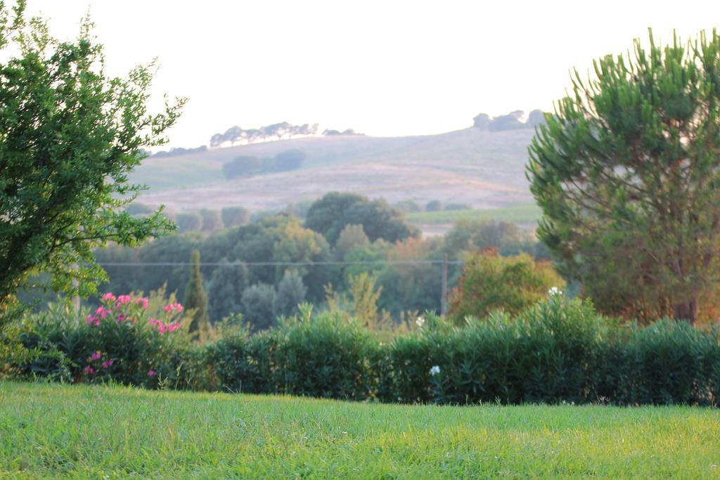 Agriturismo Pian Dei Pini Montiano  Ngoại thất bức ảnh
