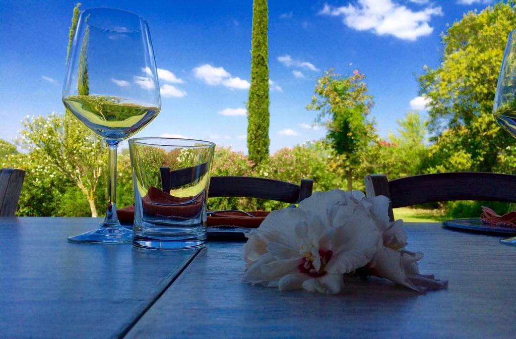 Agriturismo Pian Dei Pini Montiano  Ngoại thất bức ảnh