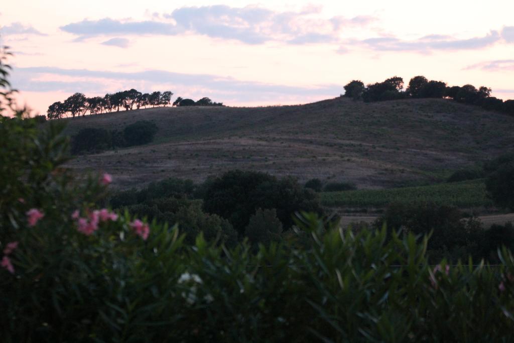 Agriturismo Pian Dei Pini Montiano  Ngoại thất bức ảnh