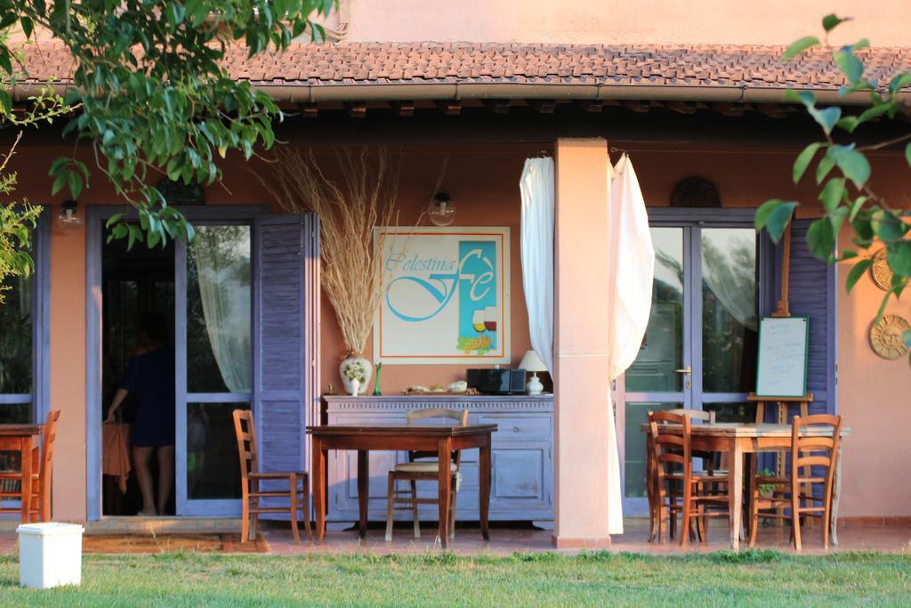 Agriturismo Pian Dei Pini Montiano  Ngoại thất bức ảnh